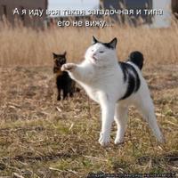 NotForYou