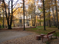2009 год