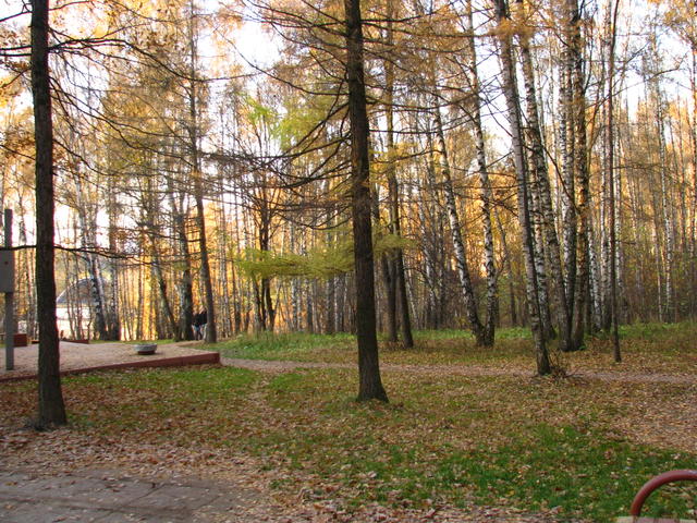 Поляна.