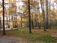 Поляна.