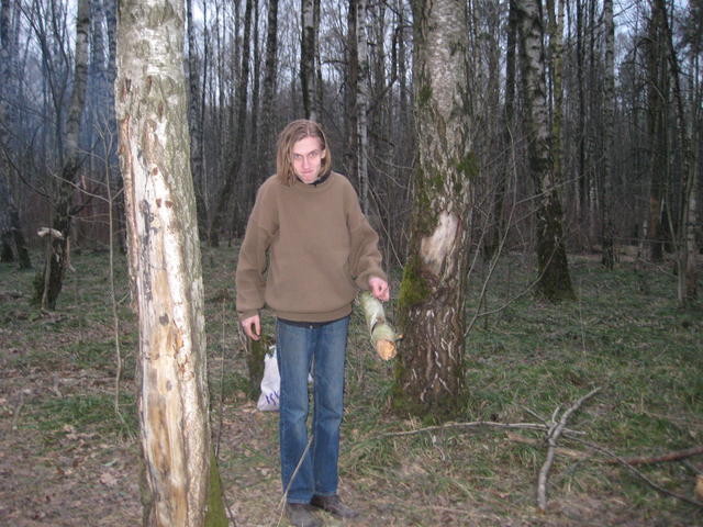 Лесное Зло.