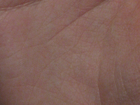 Пентаграмма в центре ладони (увеличение)