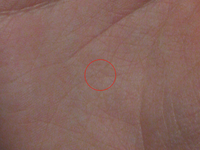 0441 cut+round