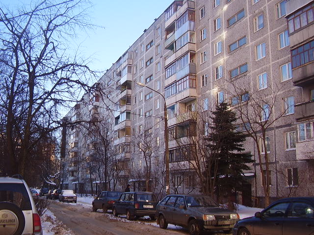 Королёв,Комитетский лес3 05.20.2010 14,00