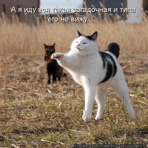 261851243609387402