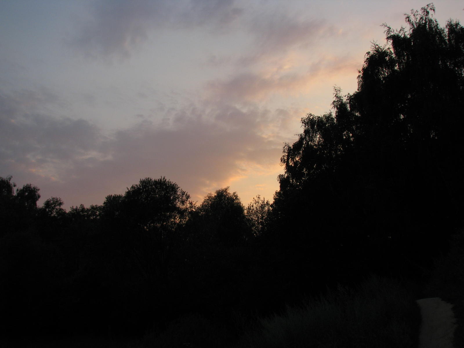 Вечернее небо