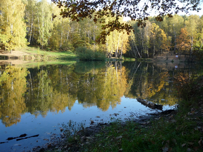 P1030274