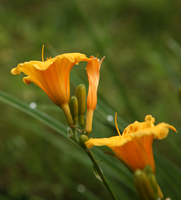 13_09.07.jpg