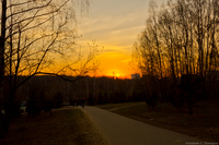Лес горит