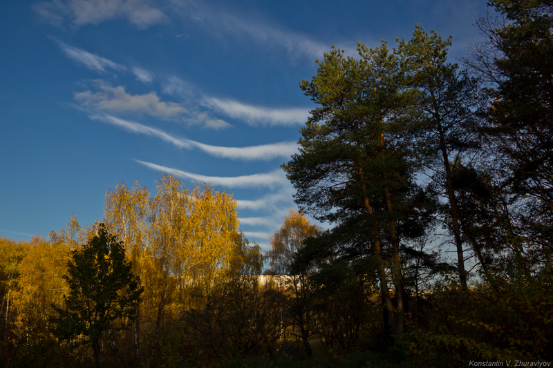 У престарелых дуб зеленый, а рядом с дубом у них - дом