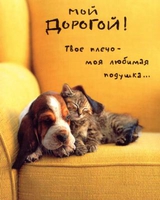 надя