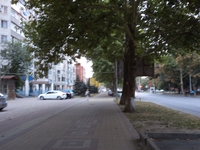 DSC00308_1.JPG