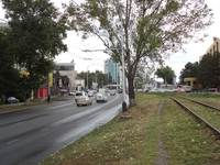 DSC00330_1.JPG