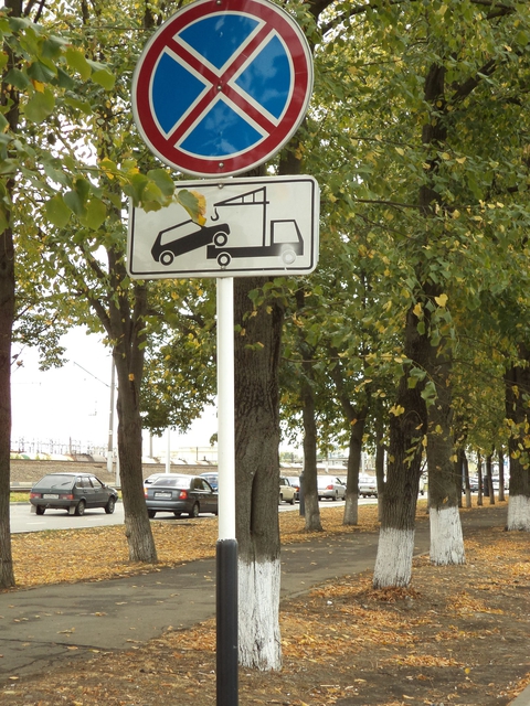 DSC00345_1.JPG