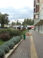 DSC00359_1.JPG