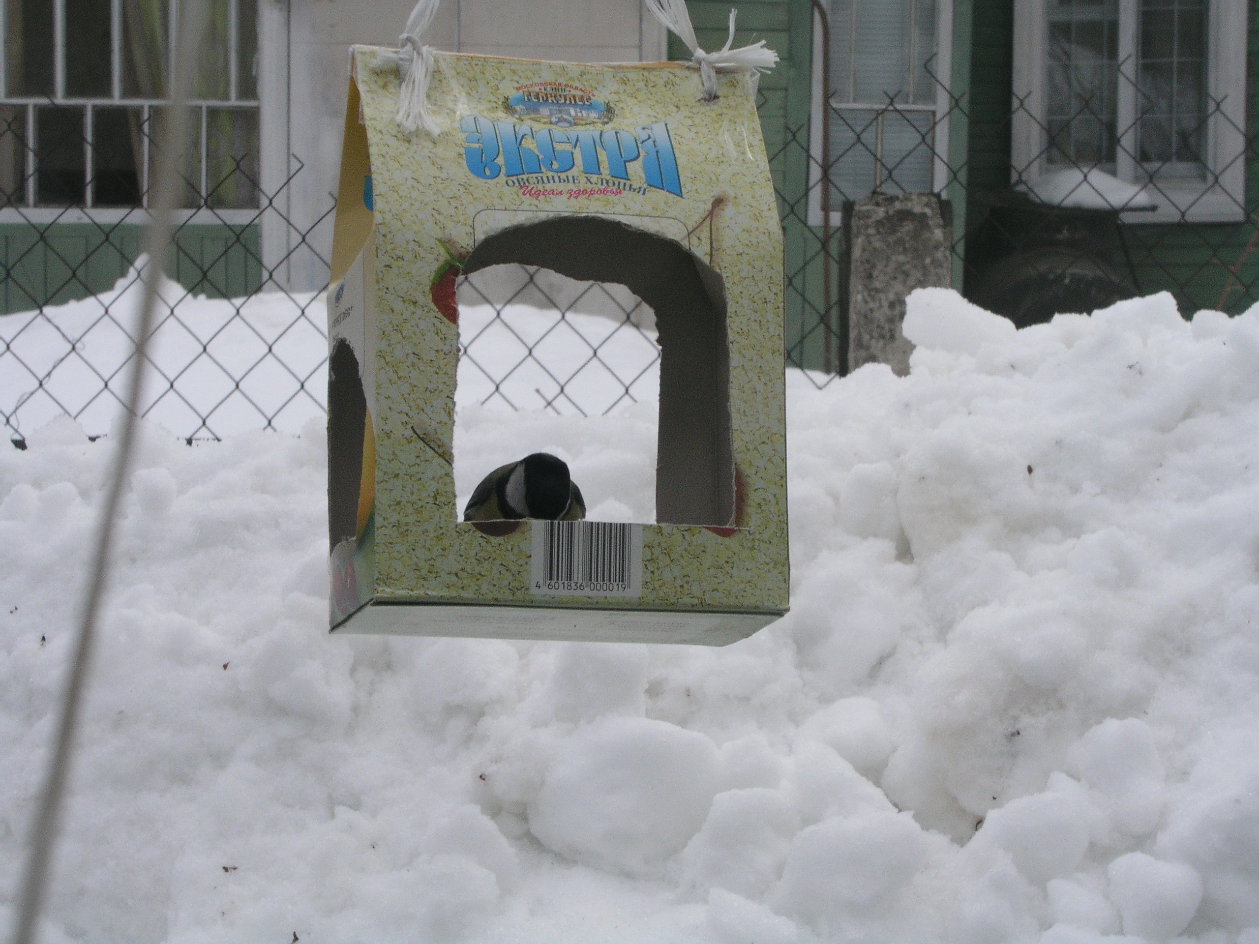 Фотоохота - Кормушка