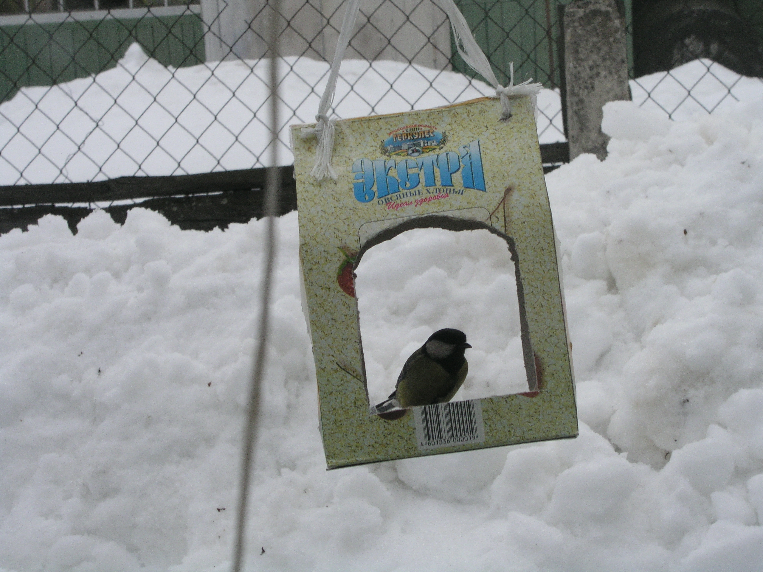 Фотоохота - Кормушка