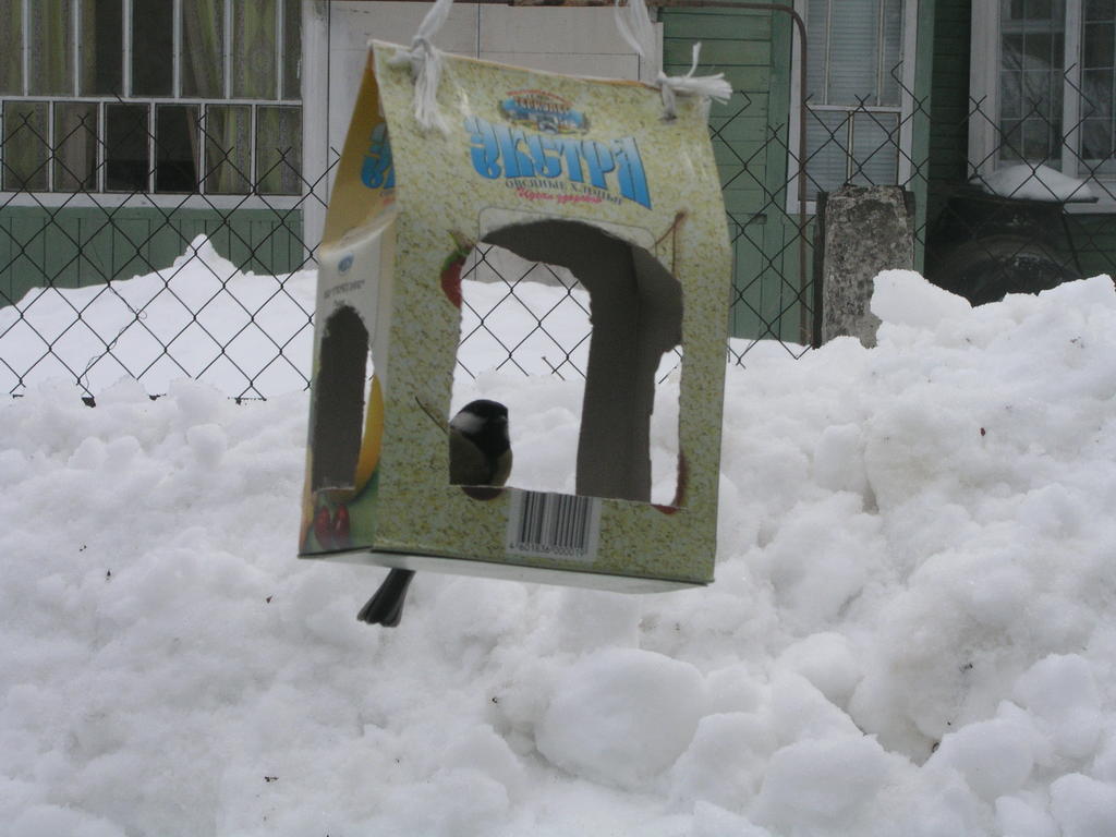 Фотоохота - Кормушка