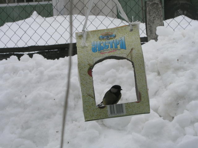 Фотоохота - Кормушка