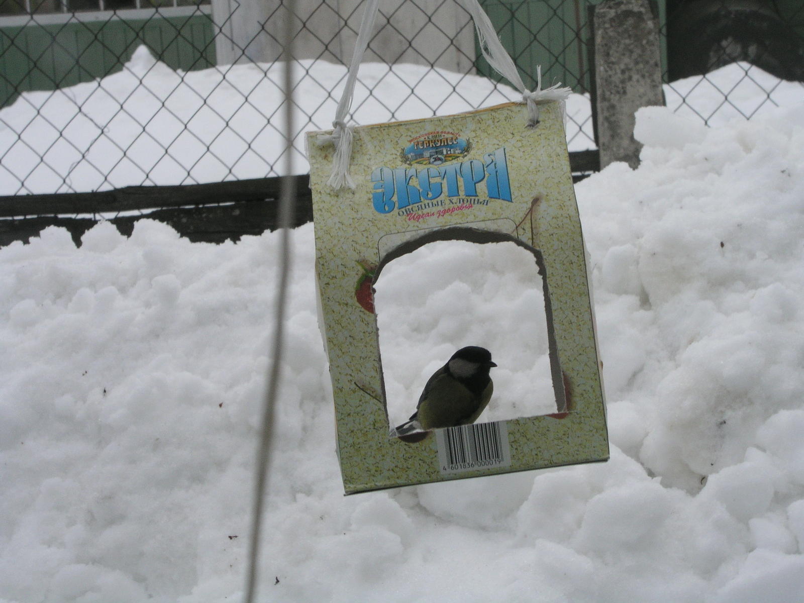 Фотоохота - Кормушка