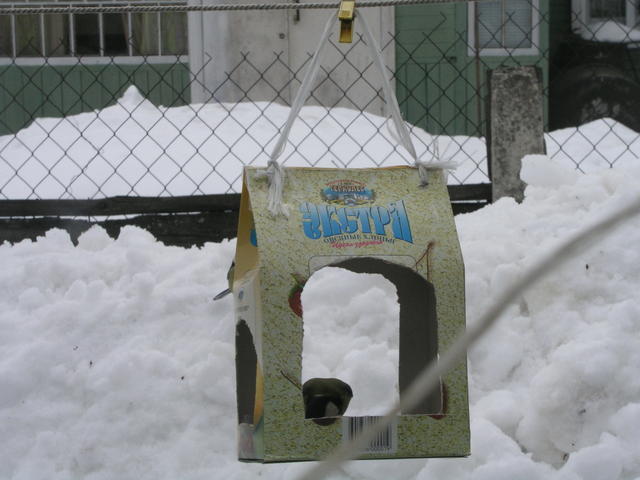 Фотоохота - Кормушка