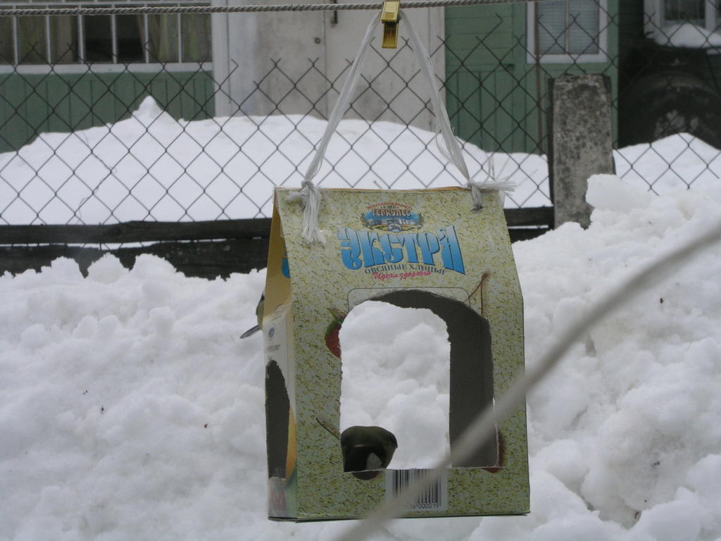 Фотоохота - Кормушка