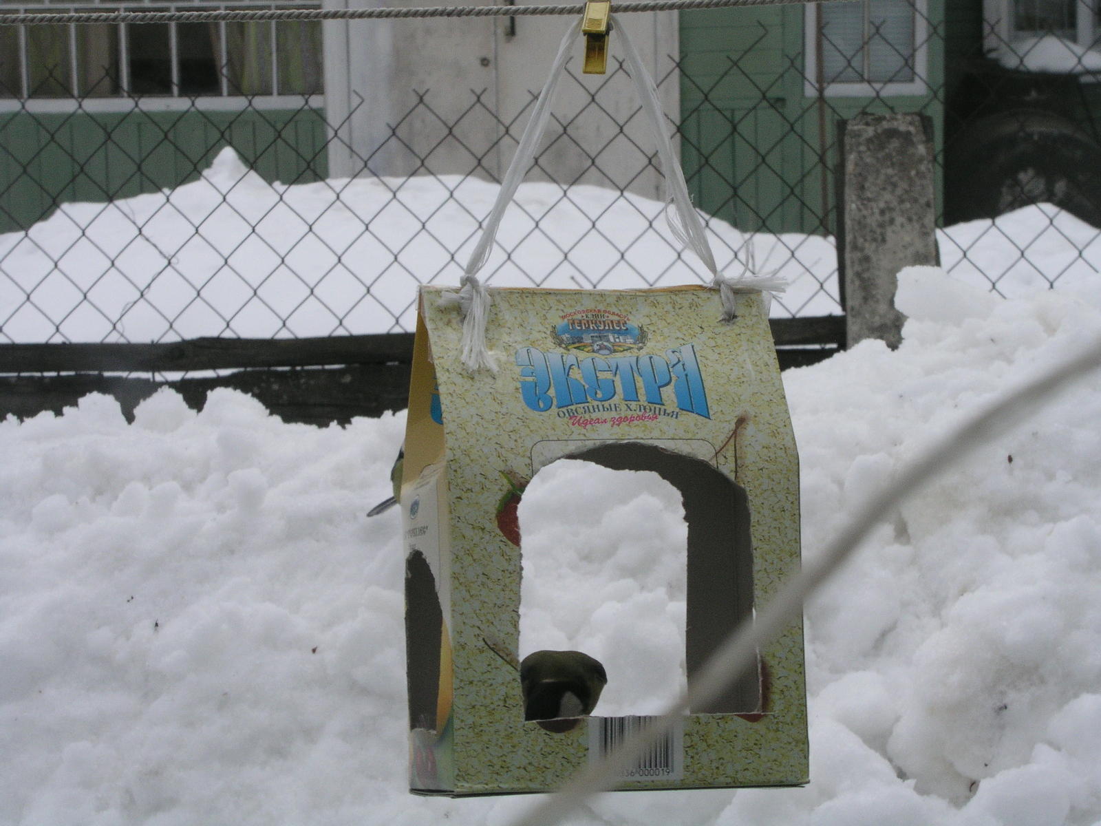 Фотоохота - Кормушка