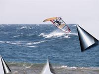 20060416_006.jpg