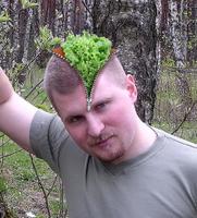 brainzip2+
