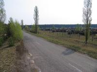 IMG_3084