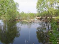IMG_3225