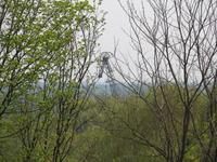 IMG_3193