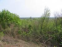 IMG_3195