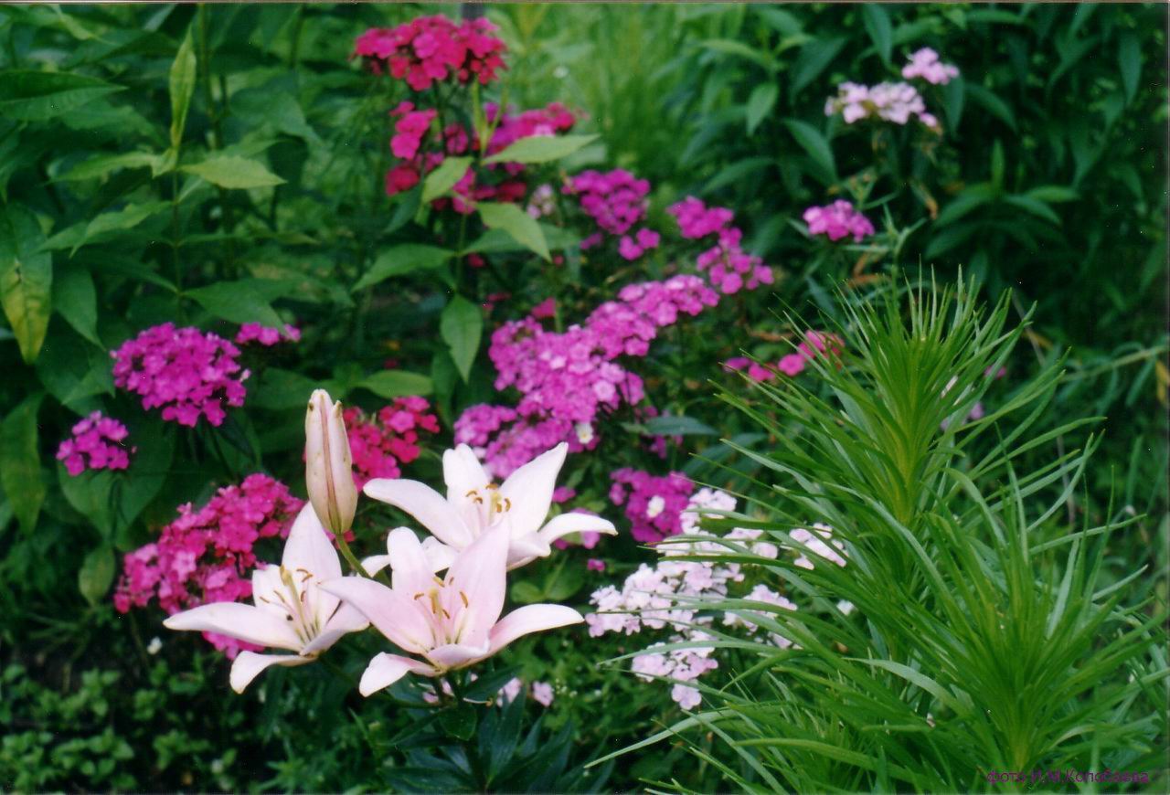 Компазиция