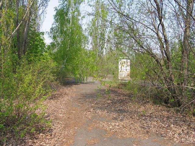 Аллея