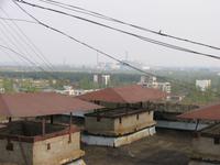 IMG_2911