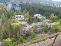 IMG_2917