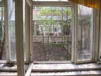IMG_2947